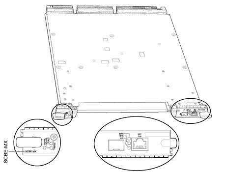 Moduł interfejsu Juniper SCBE3-MX-S SCBE3-MX-S by Juniper